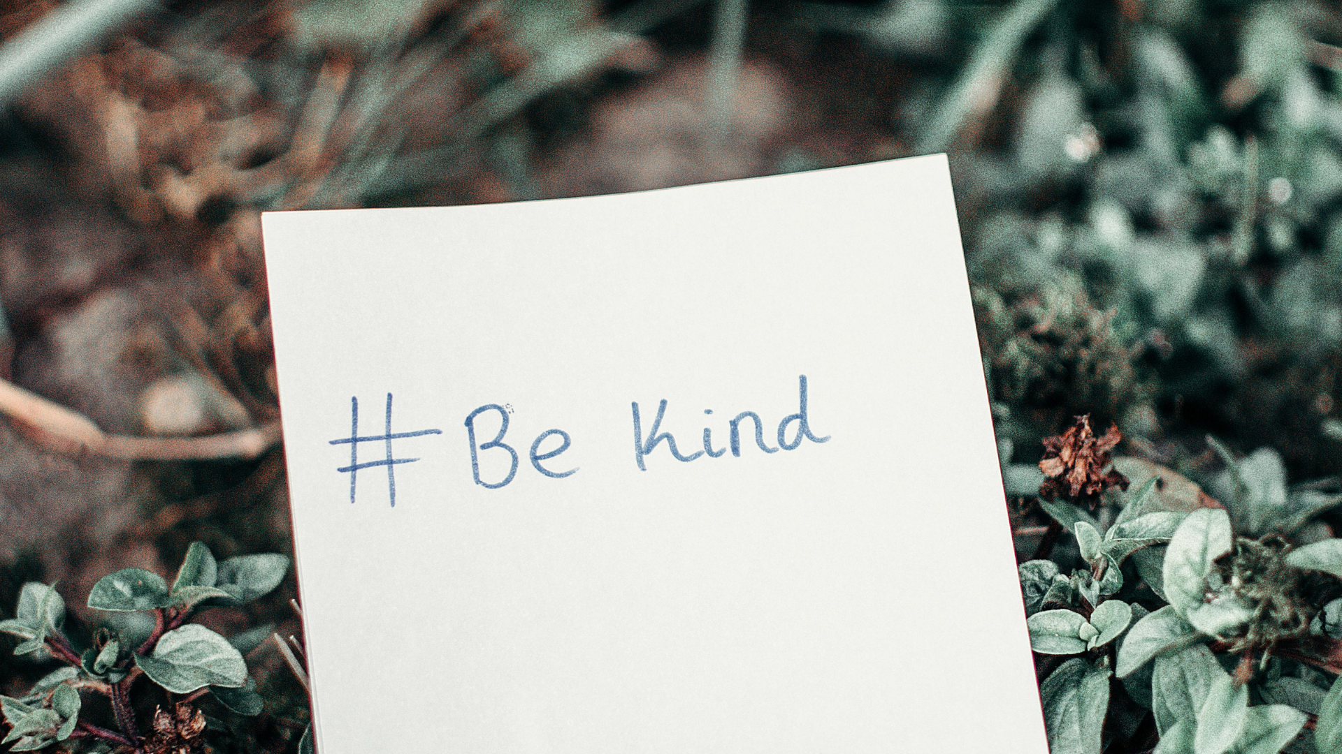 world-kindness-day-blog