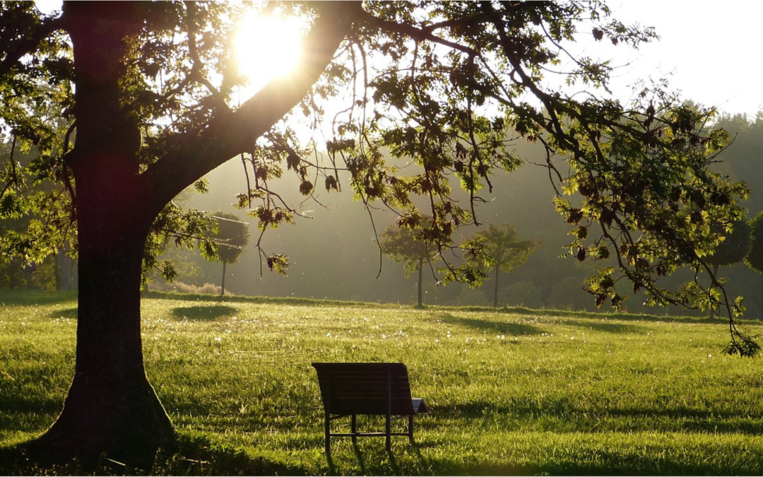 Resilience in the Face of Grief