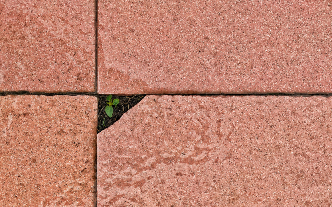 10 Everyday Habits That Build Resilience at Work