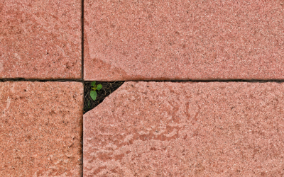 10 Everyday Habits That Build Resilience at Work