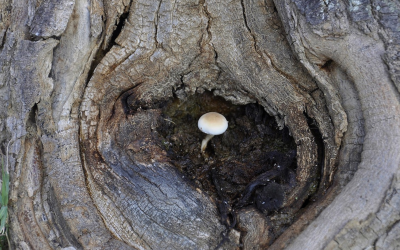 What Resilience Really Looks Like After Trauma